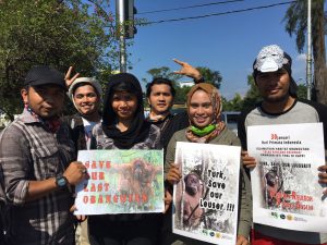 Forum Orangutan Aceh tolak rezonasi kawasan TNGL