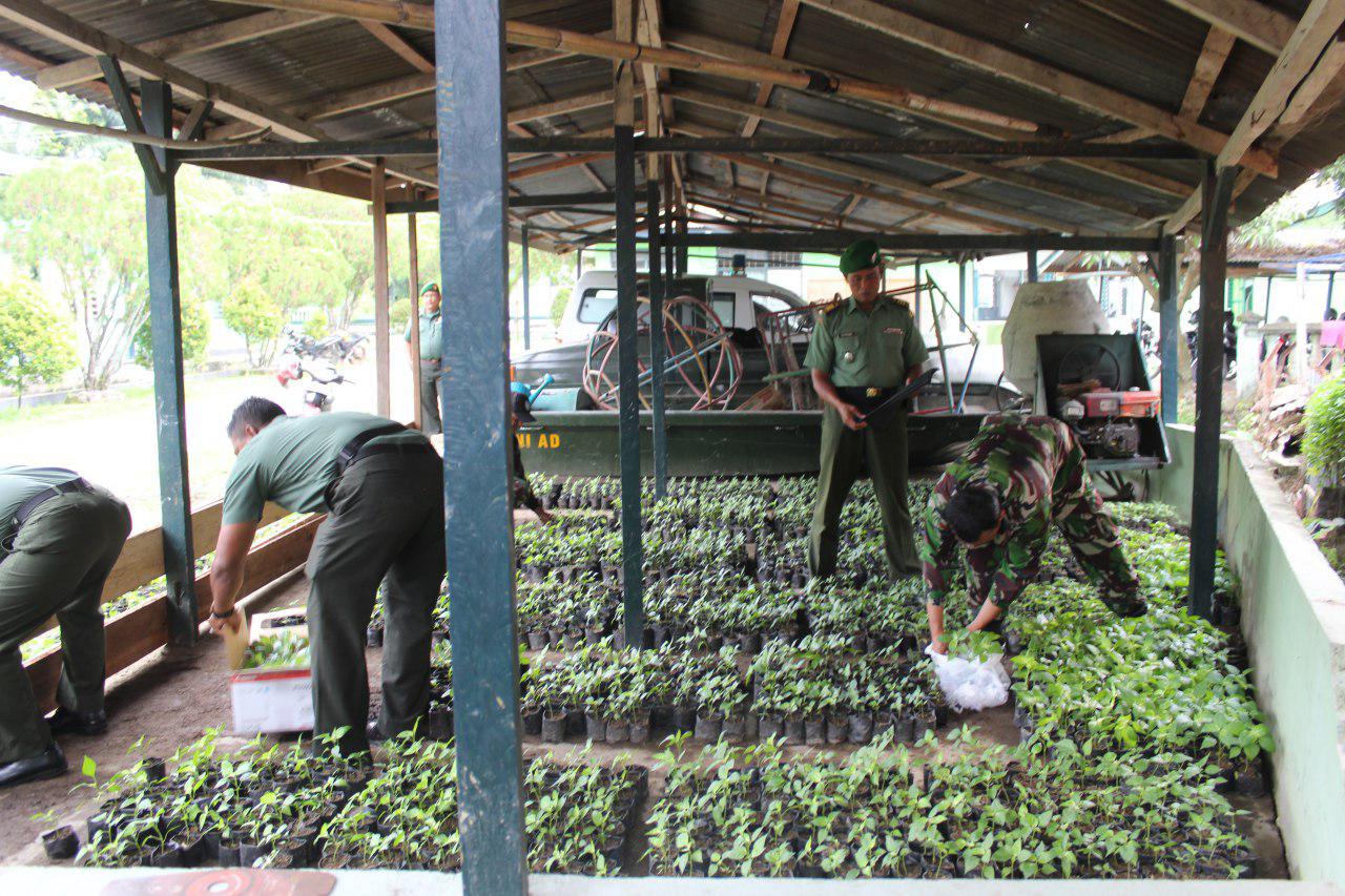 Bantu penuhi kebutuhan, Kodim 0108/Agara tanam 3.500 batang cabai