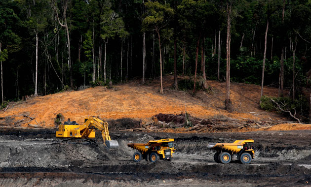Walhi: pertambangan batu bara rusak kawasan hutan