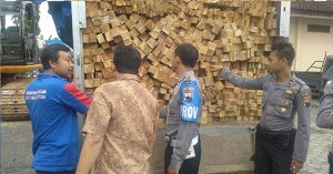 Tim gabungan Aceh Selatan amankan 4 kubik kayu ilegal