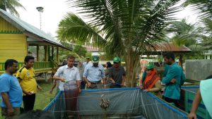 Mahasiswa KKM Gampong Uteun Gathom panen ikan lele