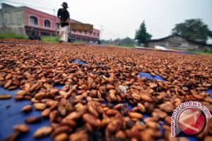 Usut pembangunan pabrik kakao di Aceh Tenggara
