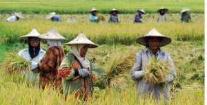 Reforma Agraria, Pemerintah percepat bagi-bagi lahan untuk petani
