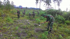 Program sejuta pohon, TNI tanam pohon Pinus di Bener Meriah