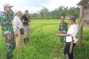 Dandim Aceh Tengah cetak sawah baru seluas 60 hektar