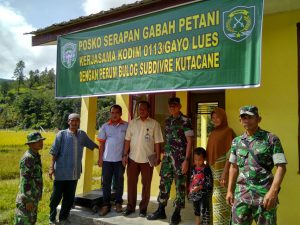 Tingkatkan hasil panen petani, Kodim Gayo Lues dan Bulog buka posko