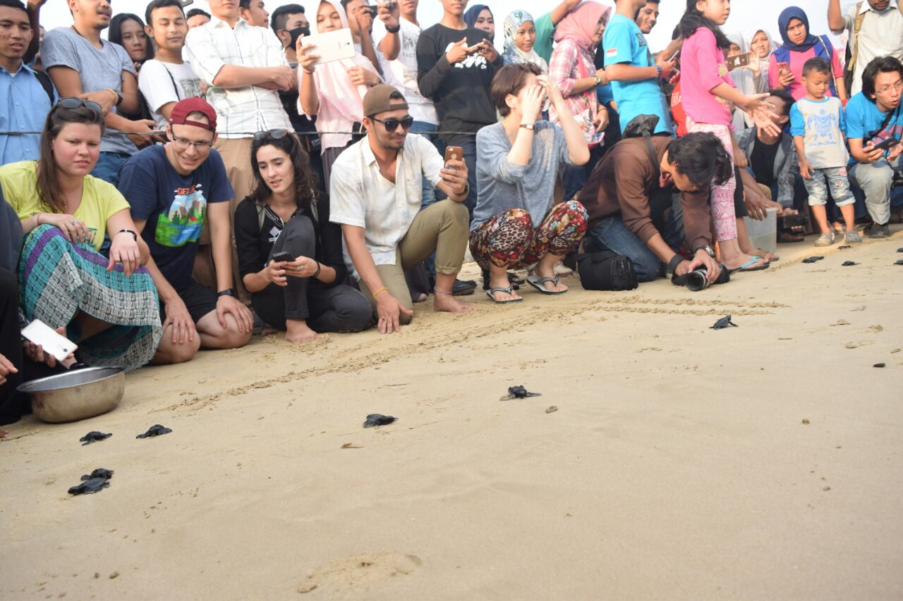 Mahasiswa Unsyiah lepas 120 tukik ke laut