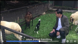 Jokowi buat Vlog kelahiran anak Kambing di Istana Bogor