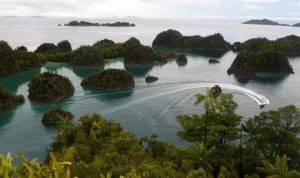 Kapal Inggris rusak terumbu karang di Raja Ampat