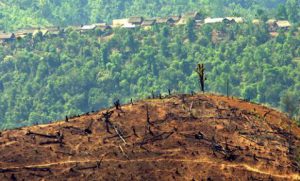 Banjir bandang di Agara, Gubernur Aceh: Hentikan illegal logging