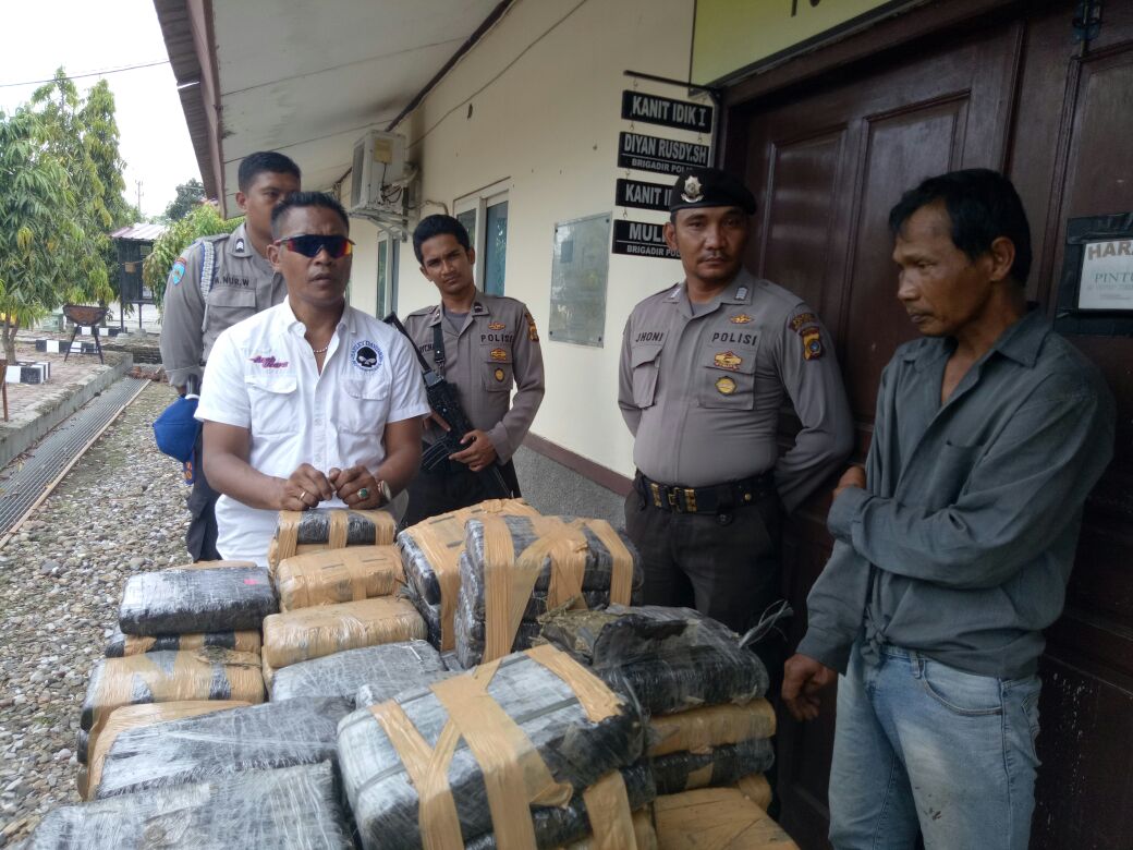 Polres Aceh Utara bekuk mafia ganja