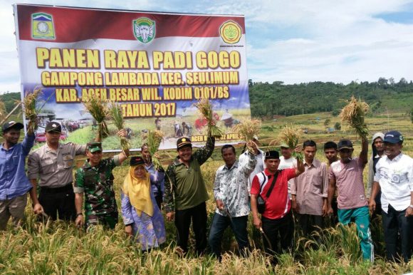 Dandim BS panen raya padi Gogo di bekas ladang ganja