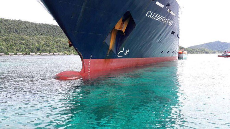 Kerusakan karang Raja Ampat, pemerintah tuntut caledonia Rp 6 T