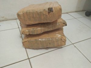 Pengiriman ganja dari Banda Aceh ke Depok digagalkan