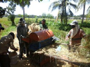 Kodim Aceh Utara laksanakan pendampingan panen padi