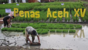 Petani dan nelayan Aceh disarankan hadir ke Penas KTNA
