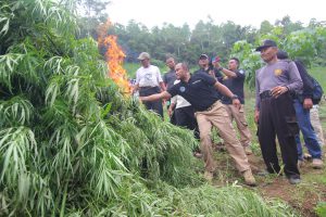 BNN Musnahkan Narkoba yang dikendalikan napi lapas Lhoksukon