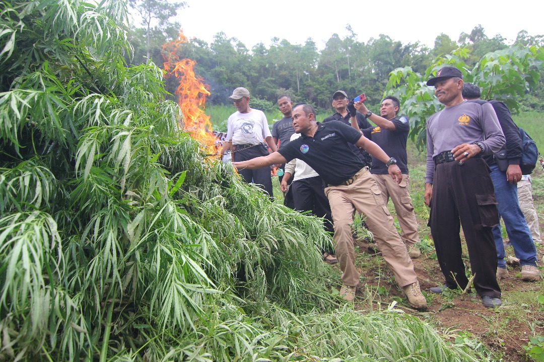 BNN Musnahkan Narkoba yang dikendalikan napi lapas Lhoksukon