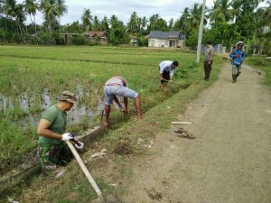 Antisipasi DBD, warga Kuta Baro gotong royong