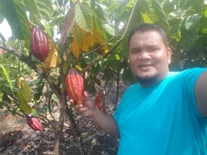 Bertani kakao asuransi bagi pemuda Aceh