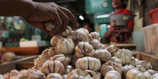 Mendag siap banjiri jumlah bawang putih jika ada yang permainkan harga