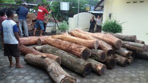 8 pelaku ilegal logging di Aceh Timur di bekuk
