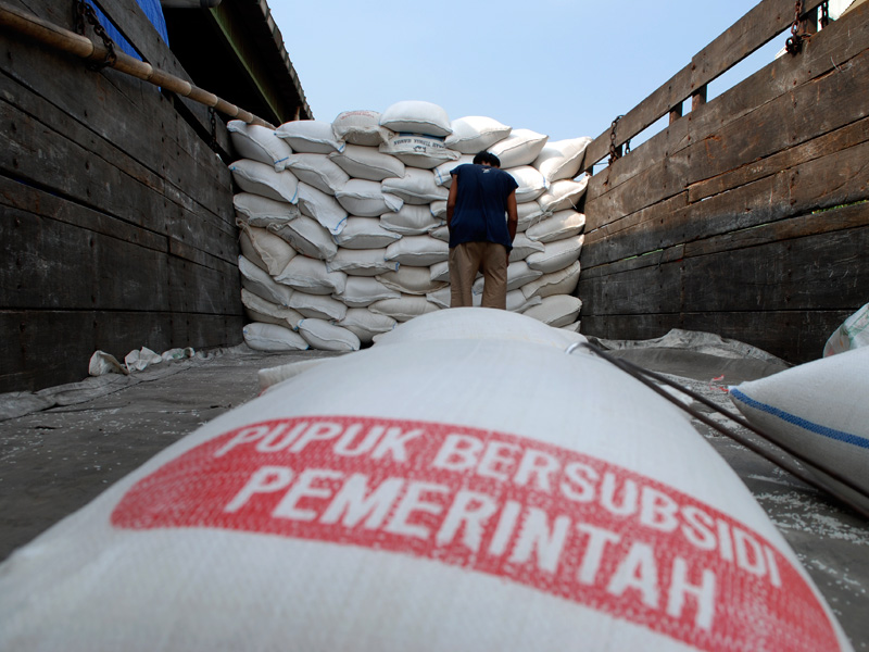 Petani di Pidie keluhkan kelangkaan pupuk bersubsidi