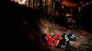 Kebakaran hutan yang dahsyat terjadi di Portugal, 62 orang tewas