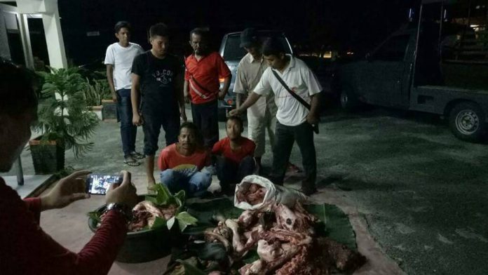 IMG-20170605-WA0002 Maling sapi di Langsa Barat ditangkap polisi