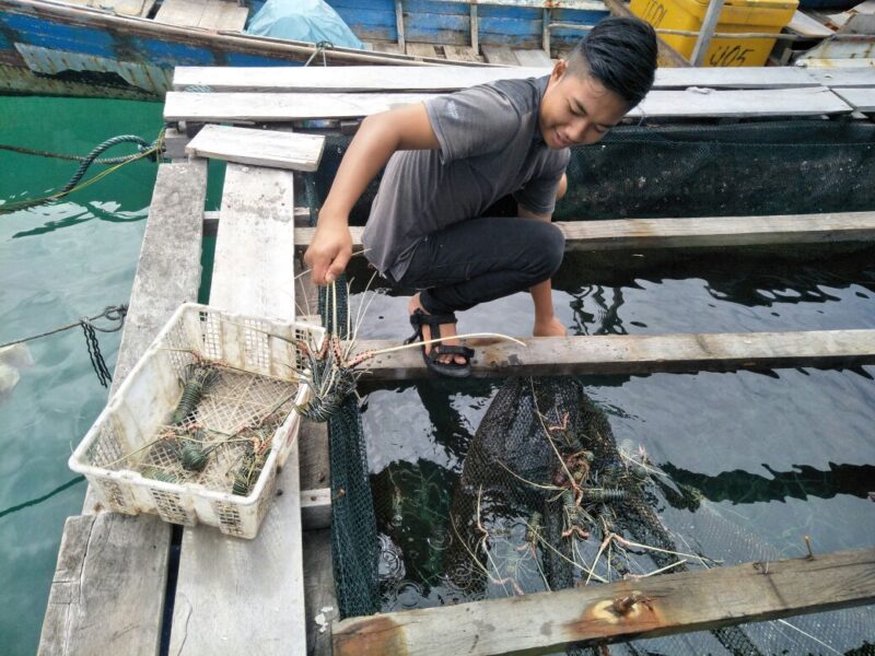 Menikmati lobster murah di Pulau Banyak