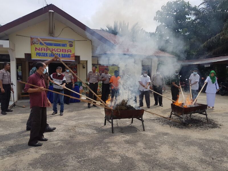 20 paket ganja yang akan dikirimkan ke Pekanbaru dimusnahkan di Langsa