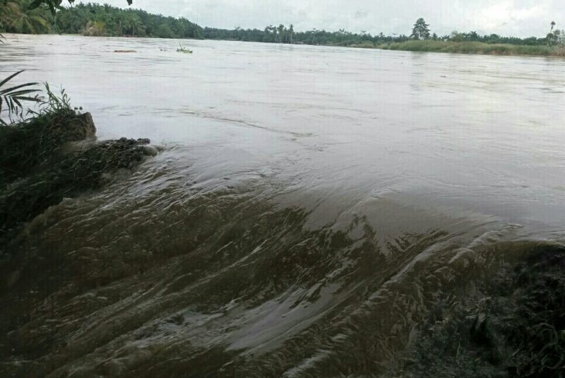 Hujan mengguyur Aceh Tamiang, tanggul sungai jebol