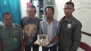 Polisi bekuk nelayan pencuri 59 telur penyu di Aceh Singkil
