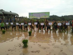 Pidie Jaya cetak sawah baru seluas 9,2 hektare