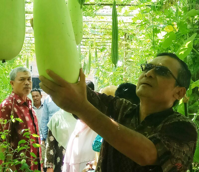 Pekarangan rumah di Asam Peutik disulap jadi sumber pangan keluarga