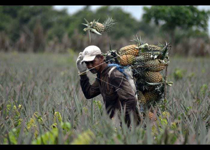 Bupati Aceh Utara minta camat kembangkan potensi SDA