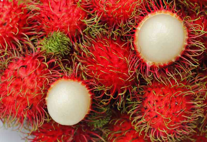 Ternyata rambutan  bisa meningkatkan kualitas sperma 