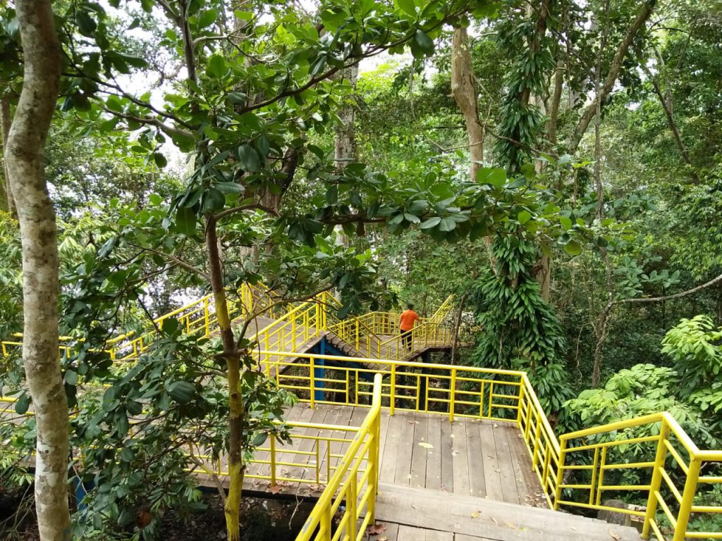 Menyusuri Taman Hutan Dengan Pemandangan Laut Di Sabang Kanal Aceh