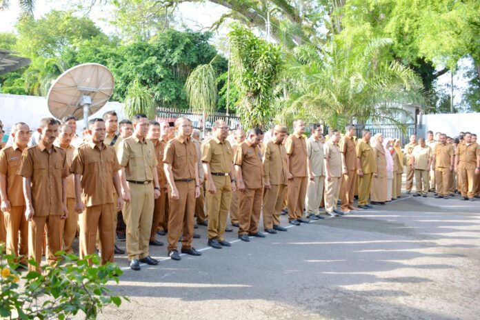 PNS, pegawai