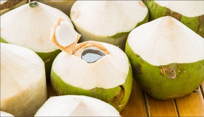 manfaat-kelapa-muda-saat-dikonsumsi-ibu-hamil-qIoGjUSPs3