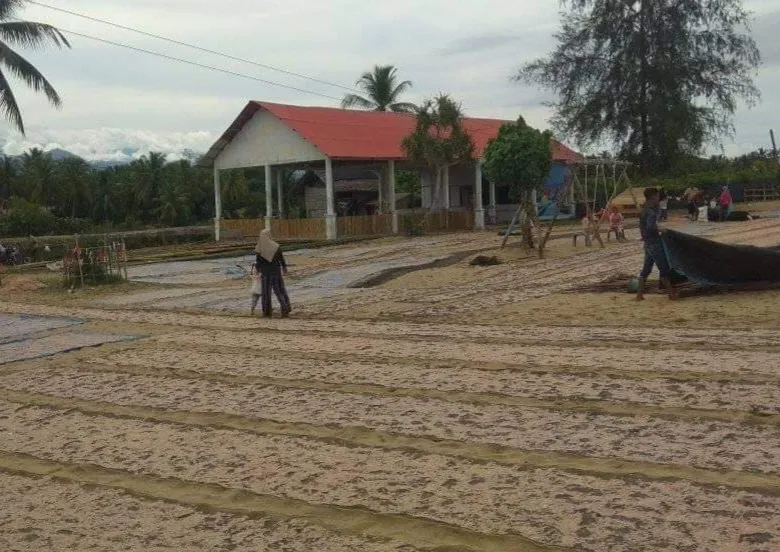 Lagi Musim, Ini Potret Keseruan Nelayan di Abdya Panen Udang Rebon