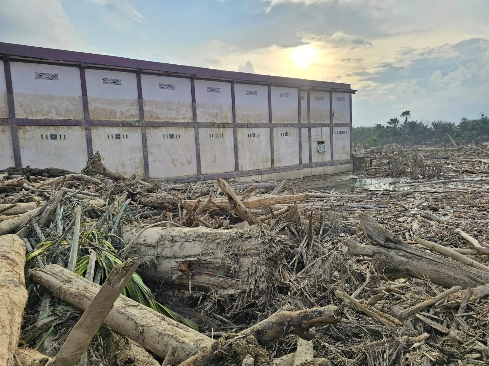 WhatsApp Image 2026-01-07 at 14.44.55